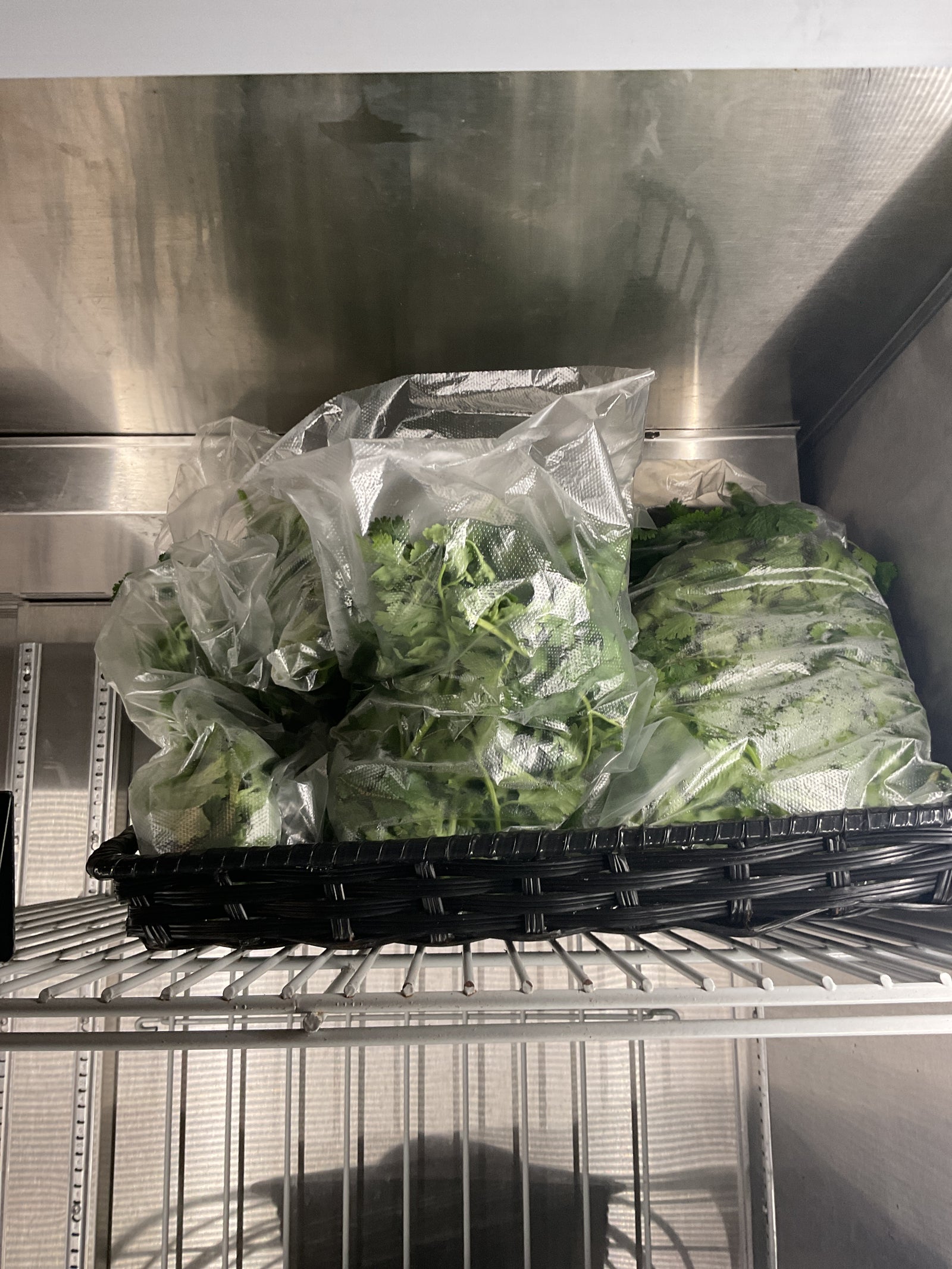 Cilantro per bag