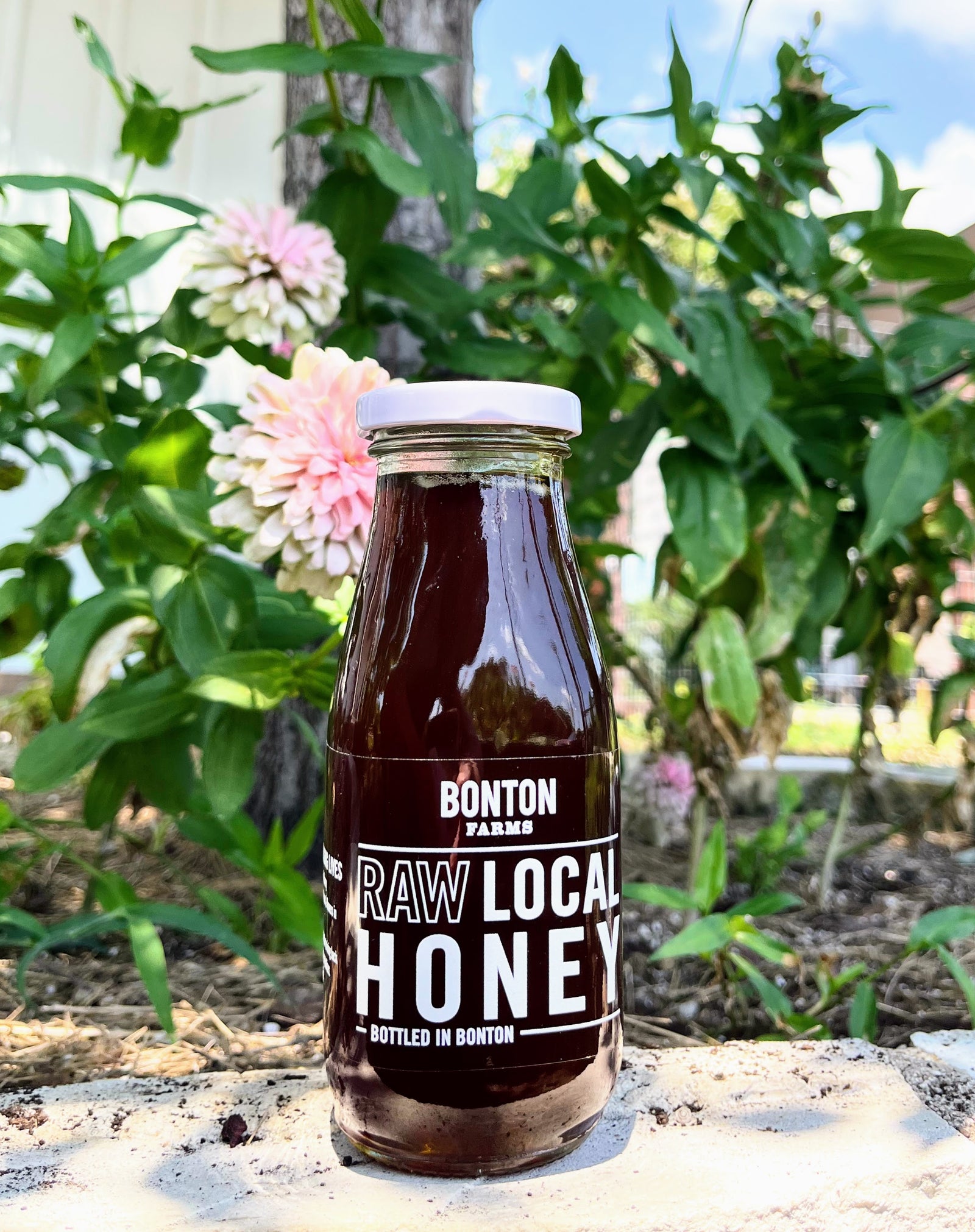 Bonton Farms Honey