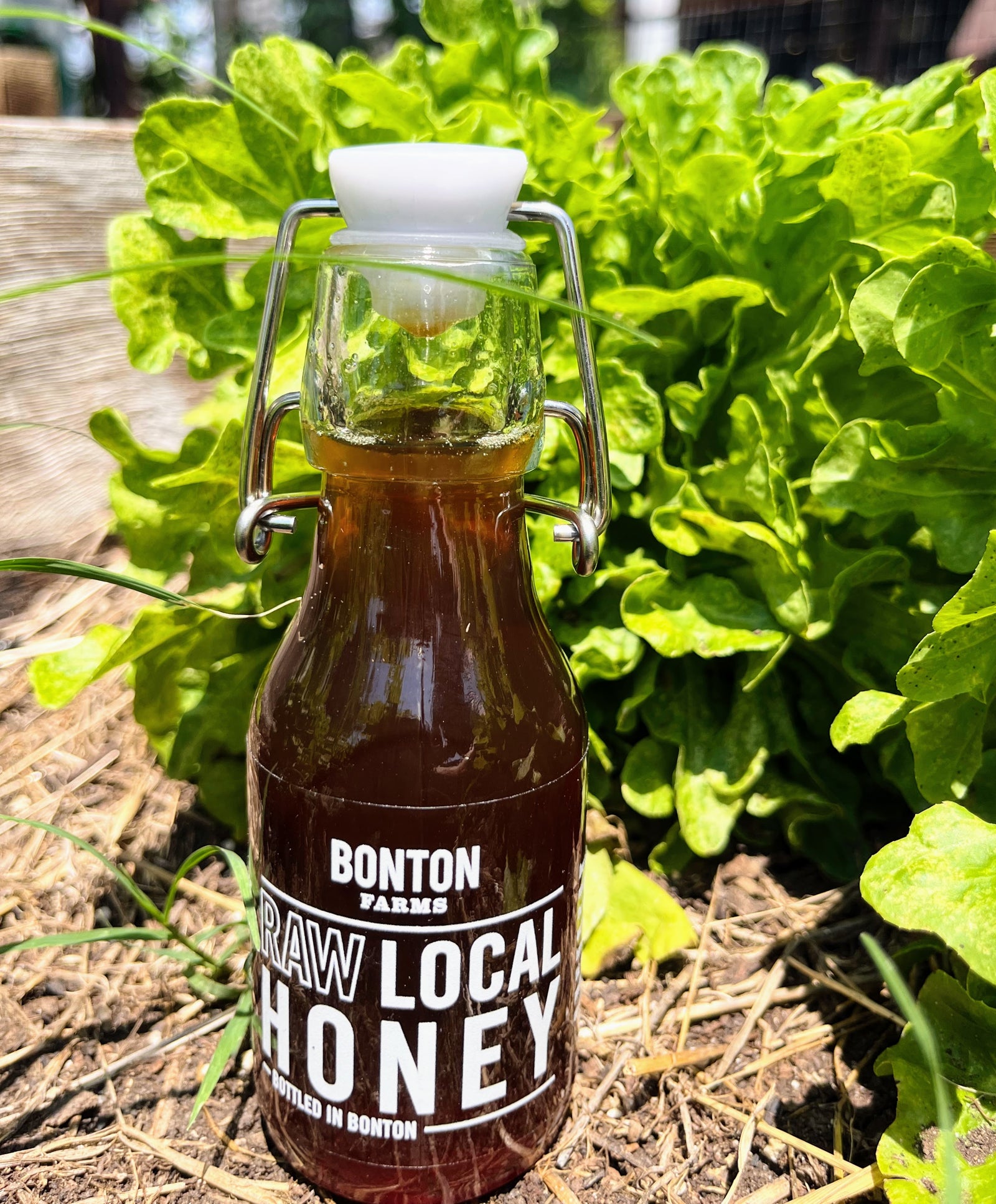 Bonton Farms Honey