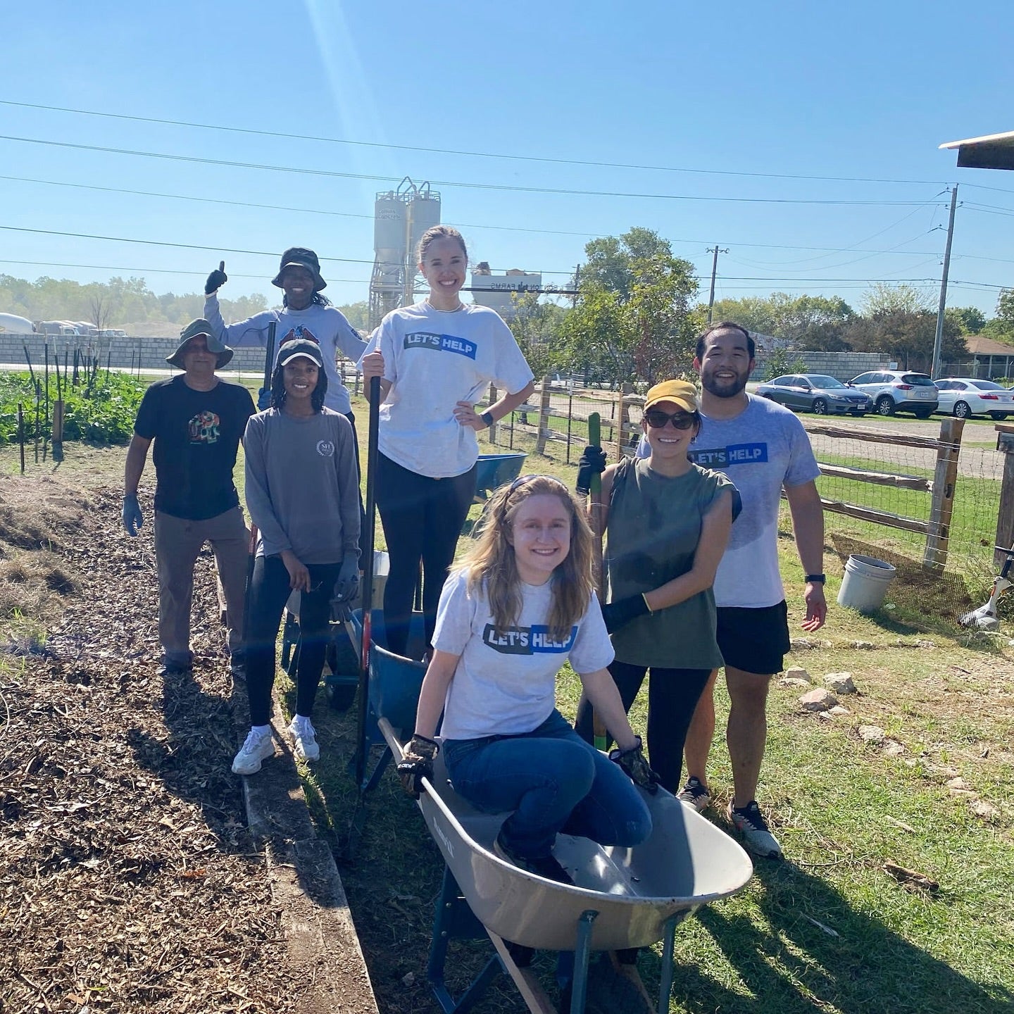Garden Veggie Sandwich