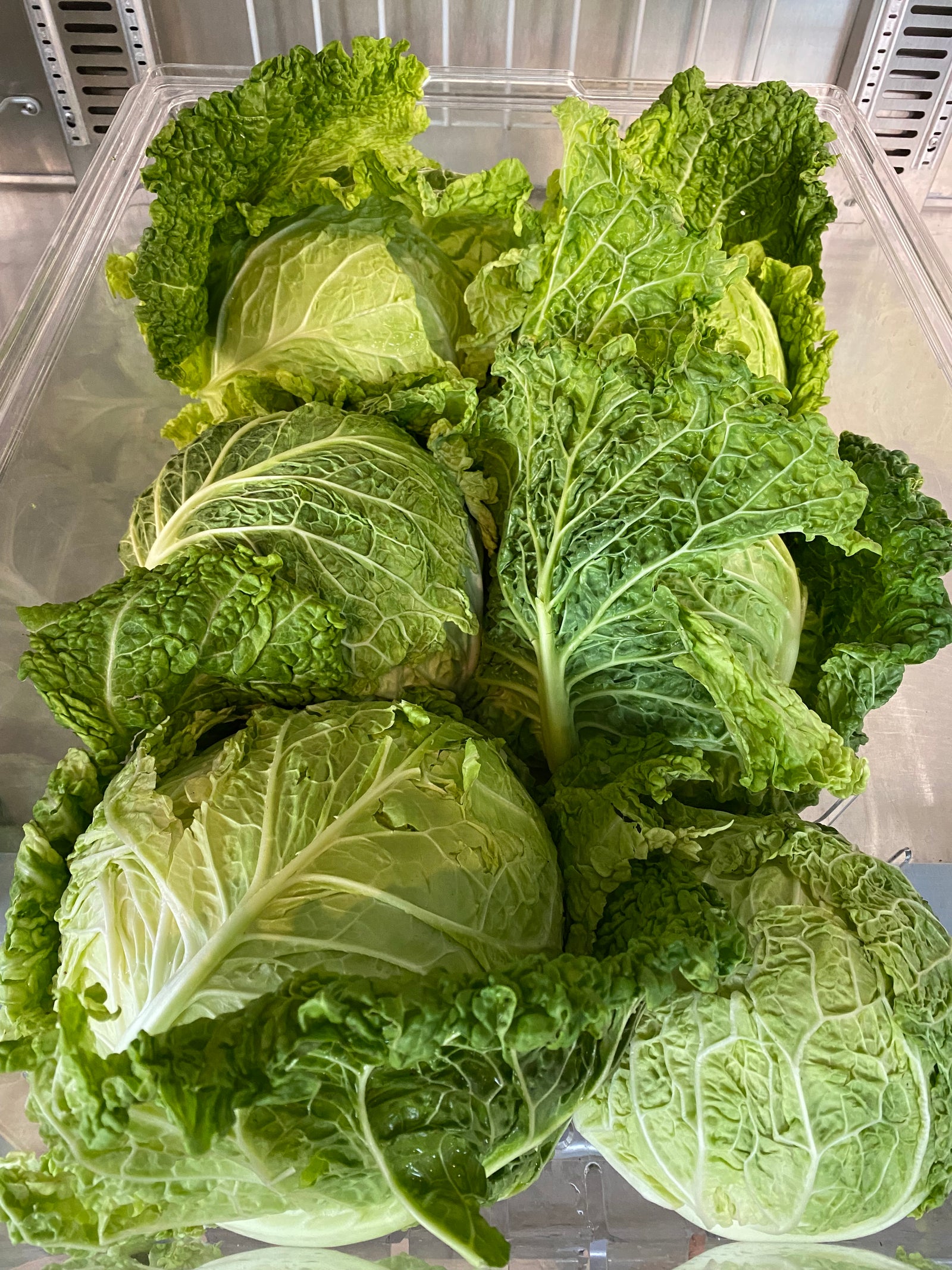 Bonton Farms Cabbage