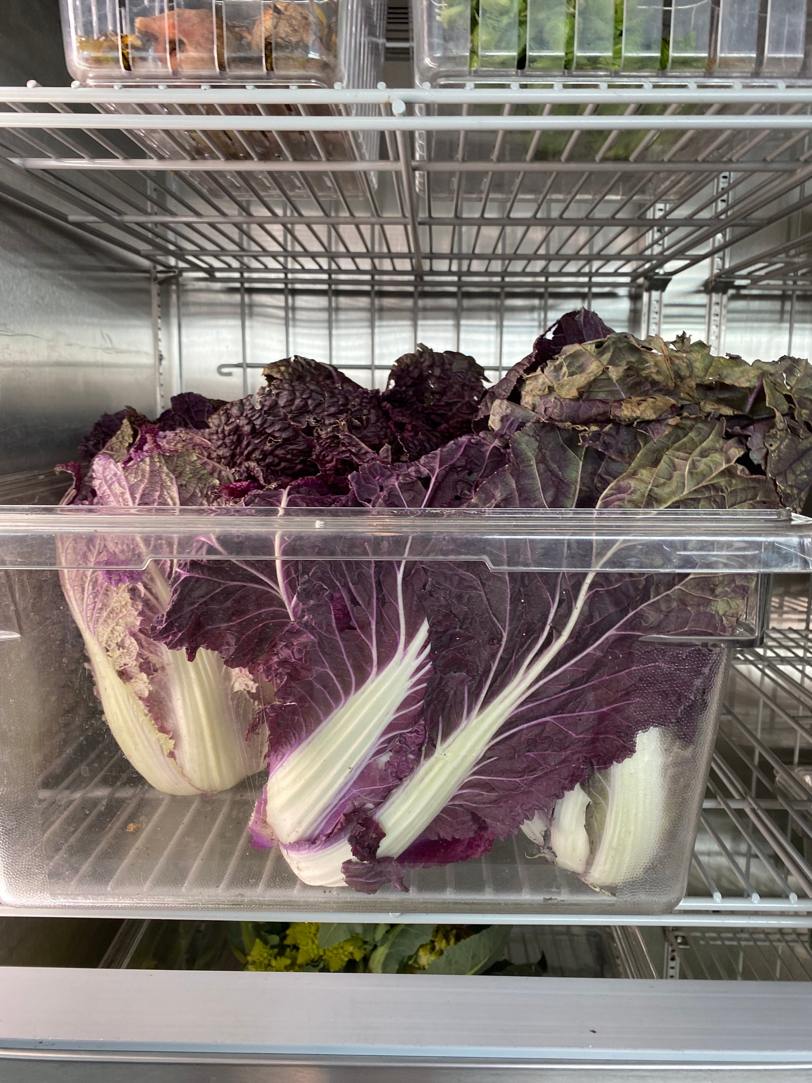 Bonton Farms Cabbage